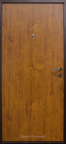 Порошковая дверь DR158