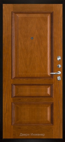 Порошковая дверь DR106